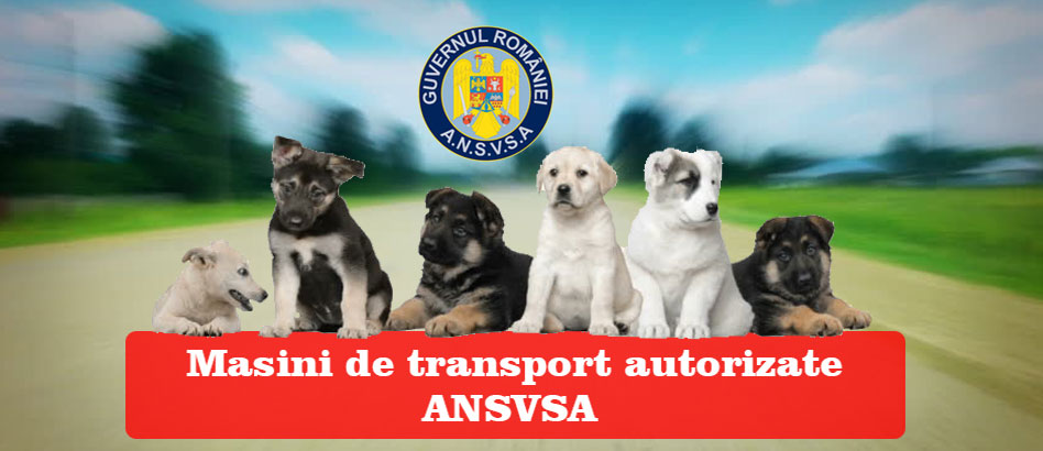 Masini transport autorizate de catre ANSVSA